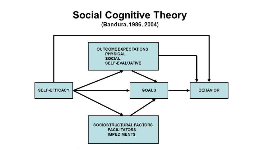 Social cognitive theory constructs