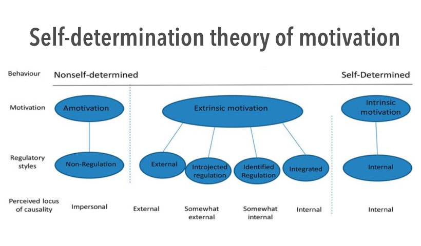 types of motivation