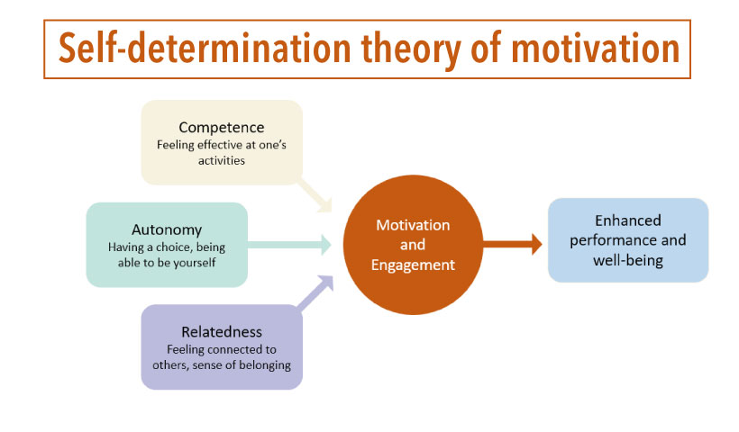 Autonomy- Competence- Relatedness 